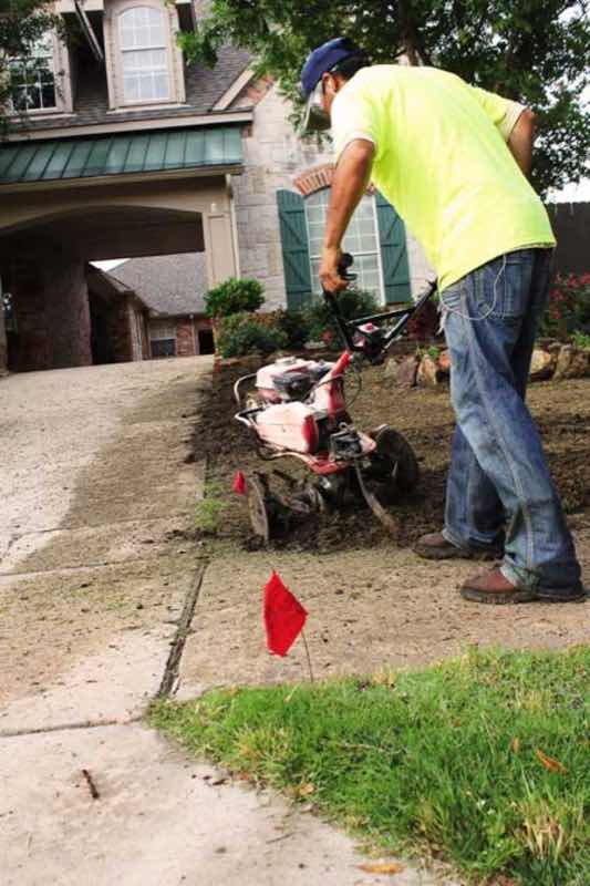 Lawn Replacement near Addison
