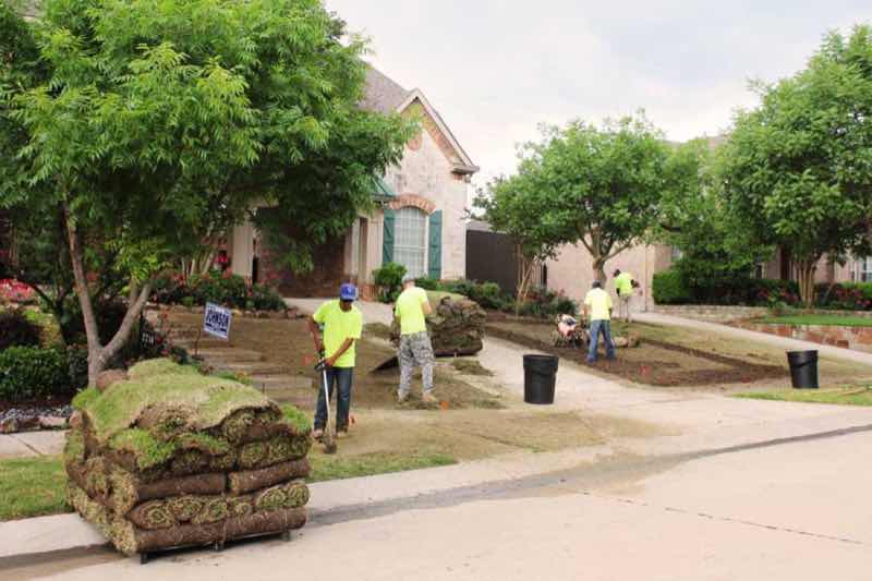 Lawn Replacement near Coppell