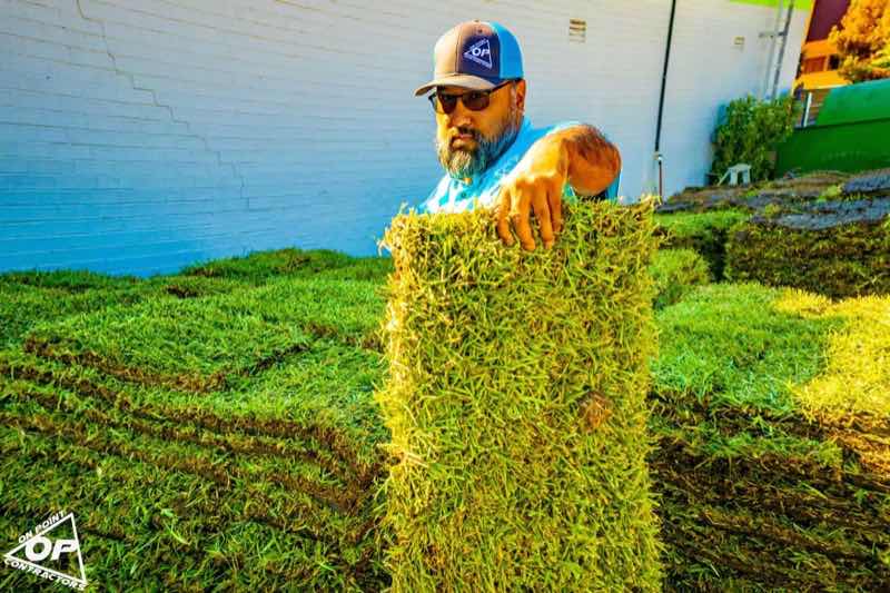 Lawn Replacement in Carrollton