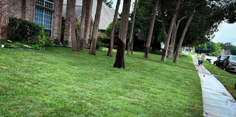 {SERVICE_NAME} project in Carrollton